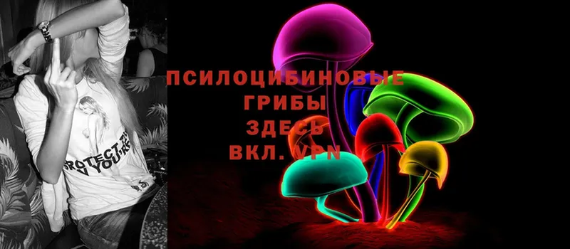 Галлюциногенные грибы MAGIC MUSHROOMS  Бабаево 